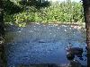 100_4633.JPG