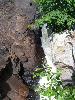 100_4640.JPG