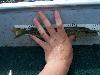 100_4681.JPG