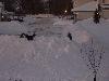 100_4081.JPG