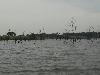 DSC00070.JPG