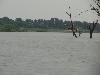 DSC00072.JPG