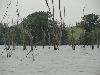 DSC00073.JPG