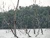 DSC00074.JPG