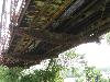 DSC00097.JPG