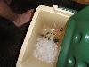 DSC00118.JPG