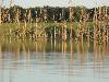 DSC00129.JPG