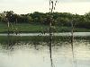 DSC00131.JPG