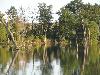 DSC00132.JPG