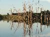 DSC00134.JPG