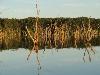 DSC00135.JPG