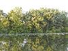 DSC00136.JPG