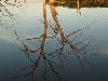 DSC00139.JPG