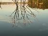 DSC00140.JPG