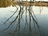 DSC00141.JPG