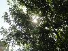 DSC00243.JPG