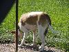 DSC00244.JPG