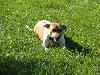DSC00245.JPG