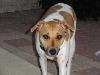 DSC00251.JPG