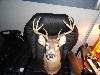 DSC00256.JPG