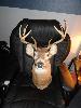 DSC00257.JPG