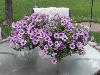 DSC00209.JPG