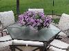 DSC00210.JPG