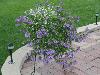 DSC00212.JPG