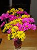 DSC00319.JPG
