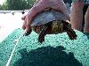 100_5323.JPG