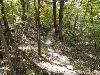 DSC00327.JPG