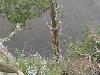 DSC00335.JPG