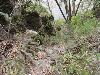 DSC00338.JPG
