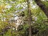 DSC00355.JPG