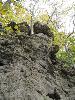 DSC00356.JPG