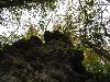 DSC00357.JPG