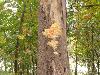DSC00359.JPG