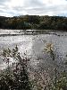 DSC00369.JPG