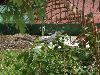 DSC00525.JPG