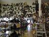 DSC00545.JPG
