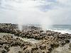 DSC00597.JPG