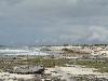 DSC00603.JPG