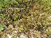 DSC00605.JPG