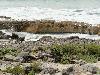 DSC00607.JPG