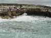 DSC00615.JPG