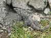 DSC00644.JPG