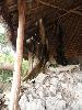 DSC00655.JPG