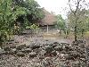 DSC00666.JPG