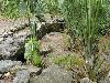 DSC00678.JPG
