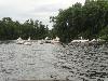 DSC00825.JPG